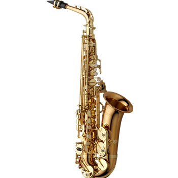 Yanagisawa Altsax A-WO2 - Professional Model (Bronze)