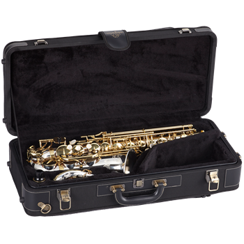 Yanagisawa Altsax A-WO2 - Professional Model (Bronze)