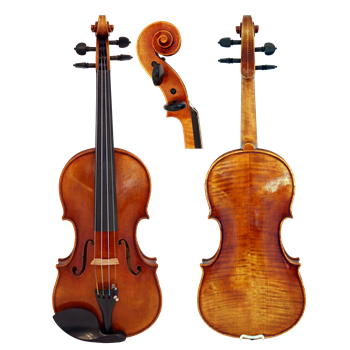 GCV Violine 4/4 EU-Decke (650A)